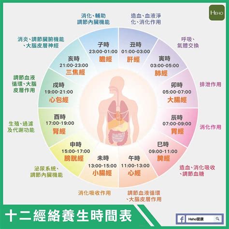 十二經絡養生時間表|中醫養生經典：圖文詳解十二經絡運行時間、屬性、注。